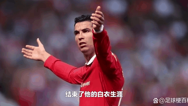 关于汉堡SV队员奉献完美进球,为球队带来胜利的信息 关于汉堡SV队员奉献完美进球,为球队带来胜利的信息