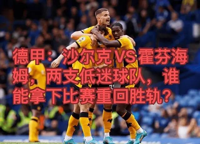 世俱杯改制-霍芬海姆击败弗赖堡，走上连胜之路的简单介绍