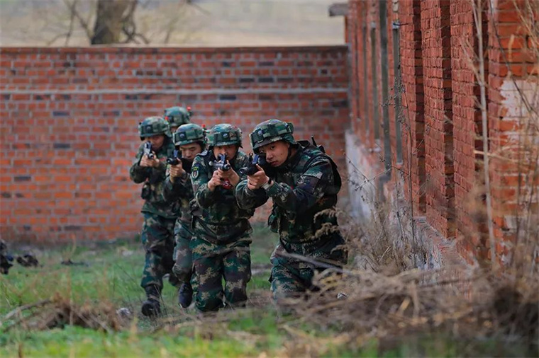 战术演练紧张进行，教练组调整阵容
