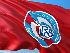 世俱杯奖金-帕尔梅拉斯战术调整显效,力争世俱杯更好名次