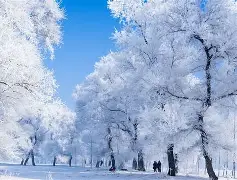 吉林队卓尔不群，势不可挡夺冠