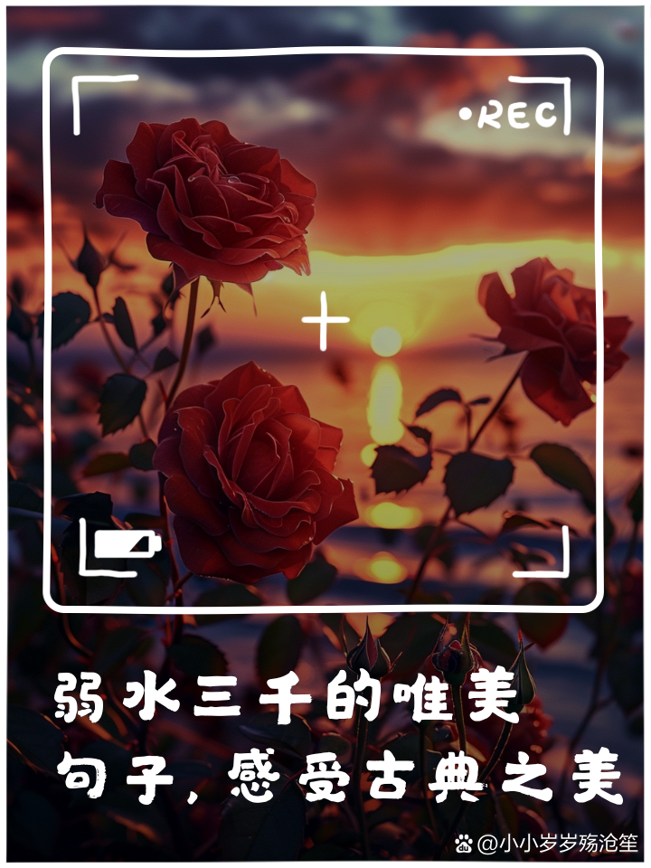 世俱杯-弱水三千,只取一壶伟大一刻烙铭世界