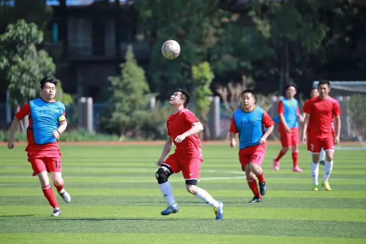 世俱杯改制-包含奋勇拼搏赛场,勇士们展现精湛技艺!的词条