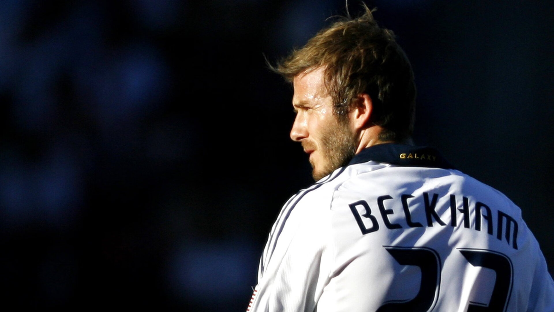 当潘帕斯与卢济塔尼亚交火，为何是法兰西的火焰照亮夜空？