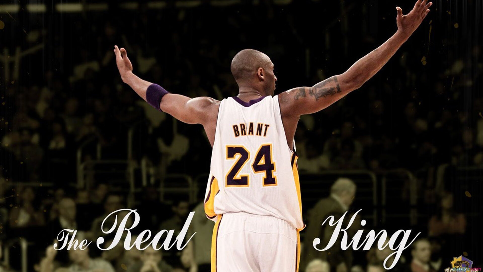 险胜冰河，孤焰燎原，瑞典绝境下的梁靖崑，如何以一人之火煮沸战局？